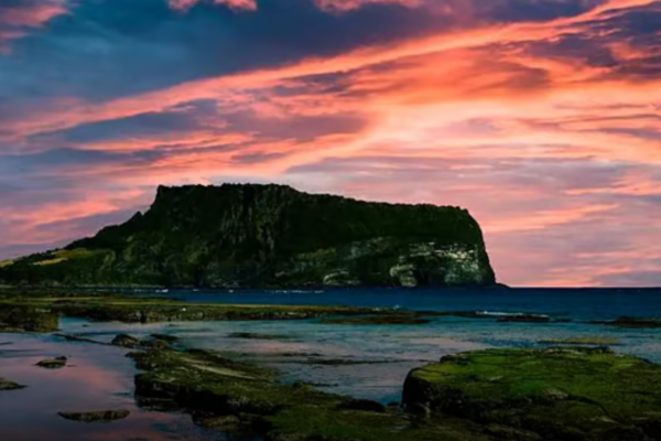 Jeju Island Visa-Free Entry for Indians After Influencer Detained at South Korea Airport