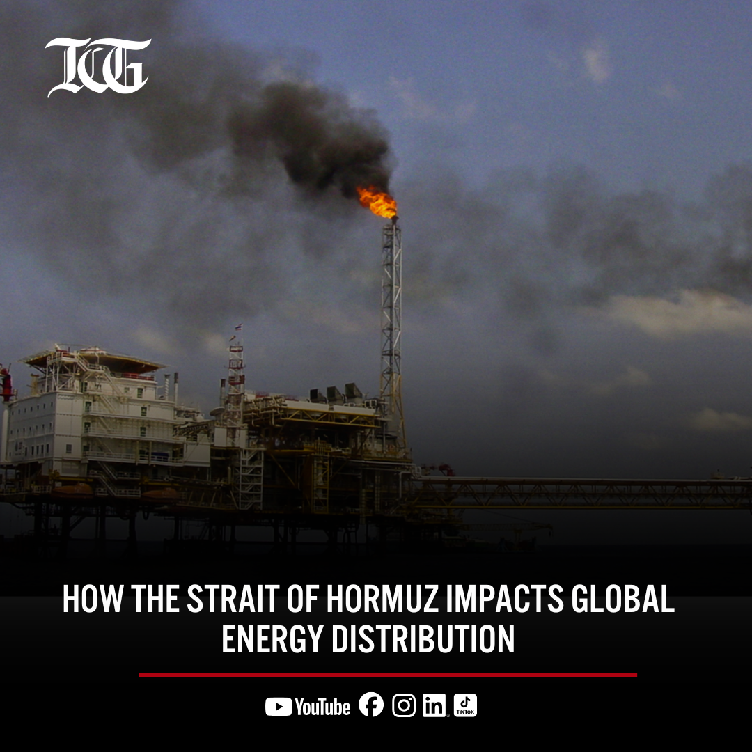 Oil Plunges as Trump Postpones Military Strikes Against Iran