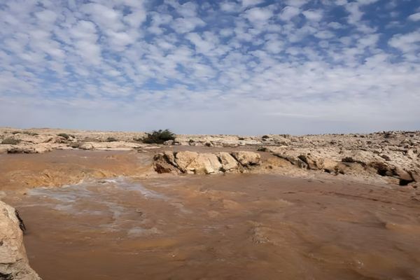 Rain-revived Wadi Ayouj Northern Borders