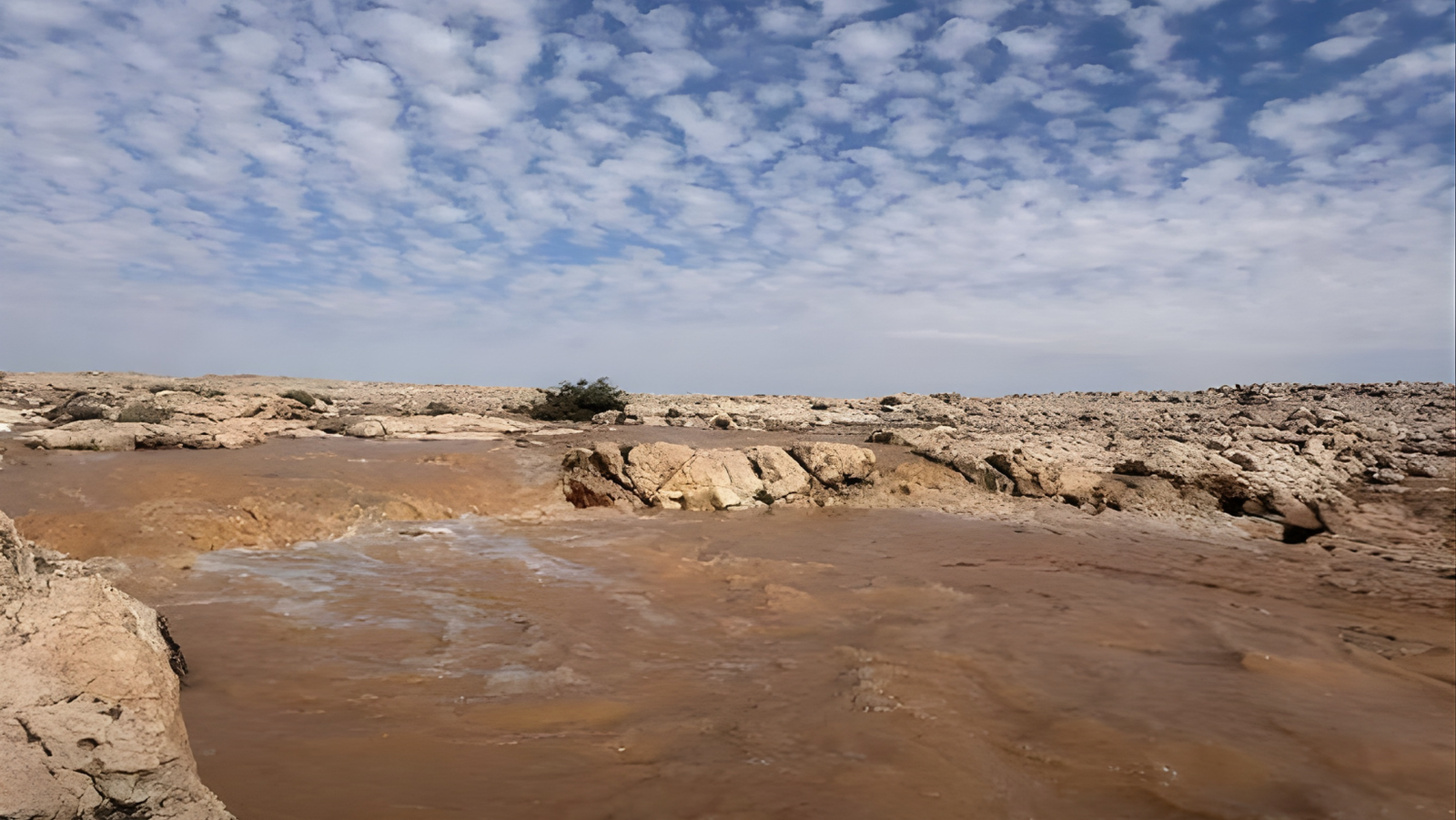 Rain-revived Wadi Ayouj Northern Borders