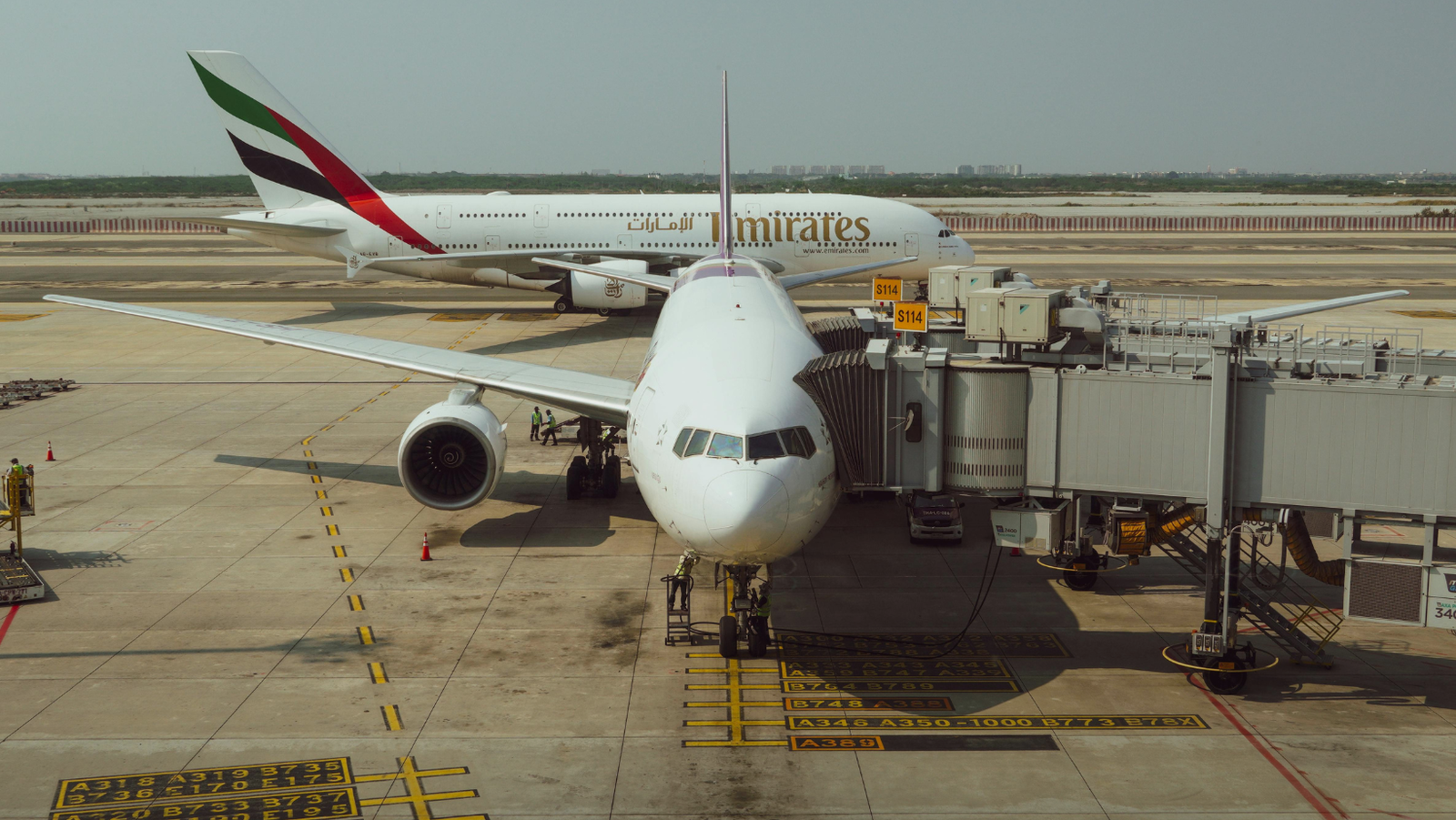 UAE Airlines Expand Flights to 250+ Destinations