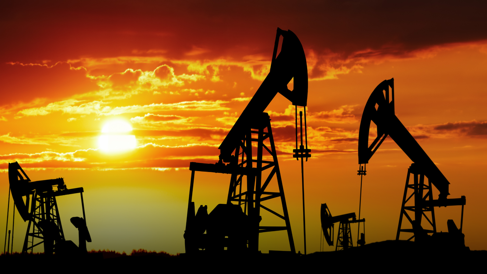 Oil Plunges as Trump Postpones Military Strikes Against Iran