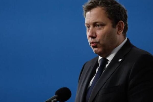 Germany supports UN Security Council structural reform push